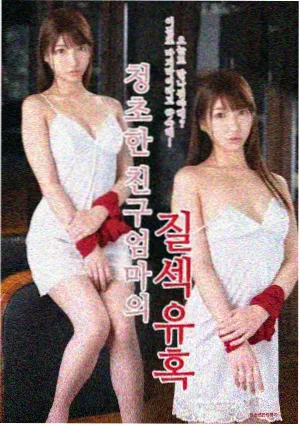 帕梅拉兰迪情报线档案封面